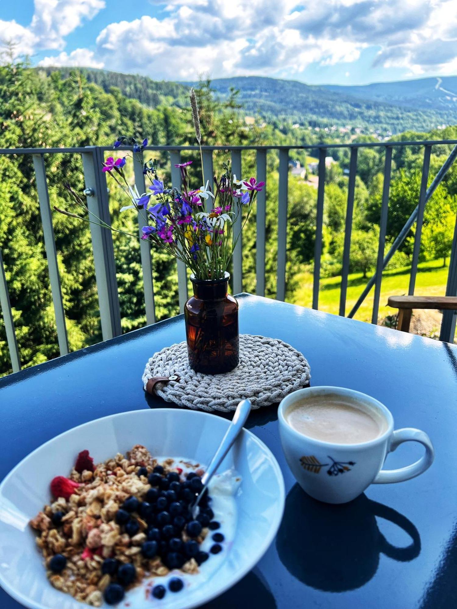 Apartman Vista Rokytnice Rokytnice nad Jizerou Εξωτερικό φωτογραφία