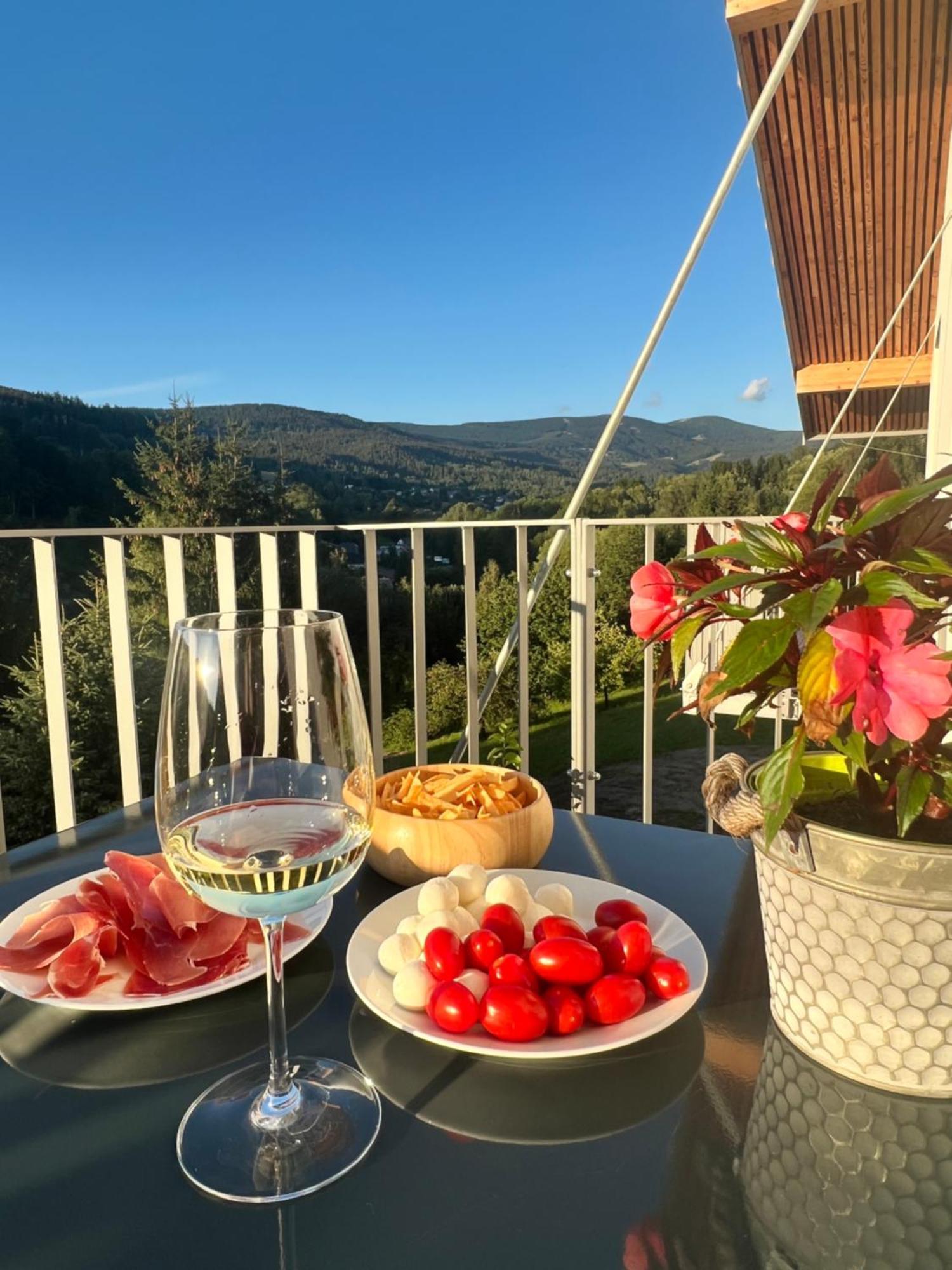 Apartman Vista Rokytnice Rokytnice nad Jizerou Εξωτερικό φωτογραφία